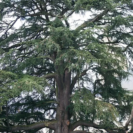 A Deux Pas De La Gare 公寓