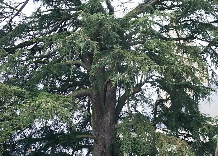 A Deux Pas De La Gare 公寓